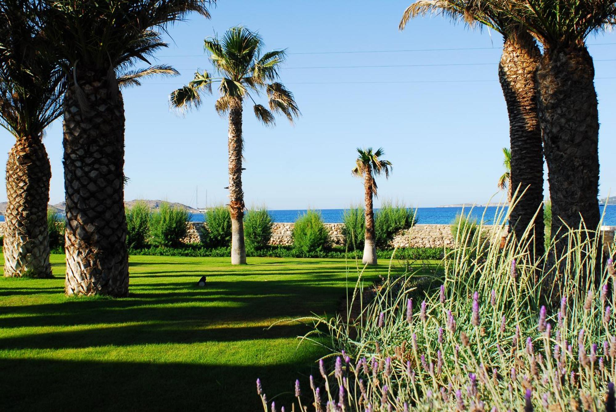 Villa Bellonia Naousa  Bagian luar foto